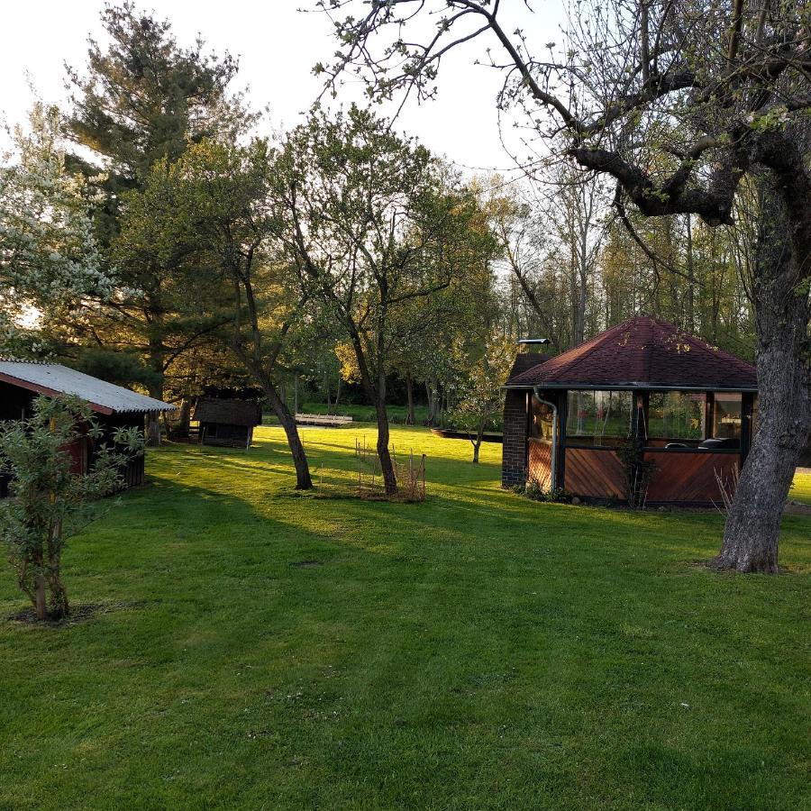 Spreewaldpension Glatz Myšyn Εξωτερικό φωτογραφία